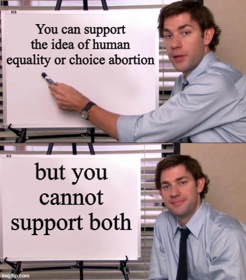 Jim Halpert Explains | You can support the idea of human equality or choice abortion; but you cannot support both | image tagged in jim halpert explains | made w/ Imgflip meme maker