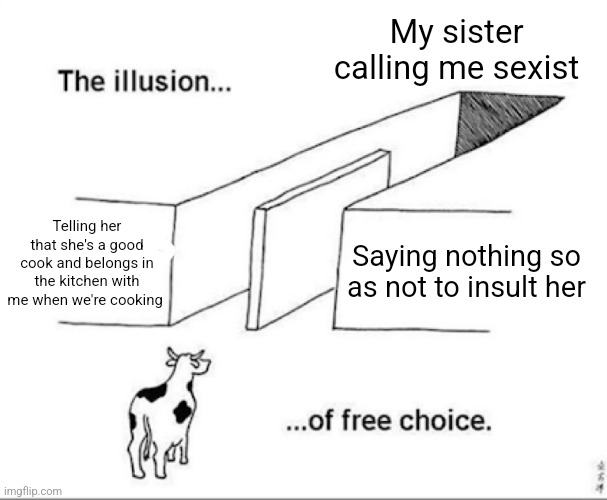 I chose the one on the left bro | My sister calling me sexist; Telling her that she's a good cook and belongs in the kitchen with me when we're cooking; Saying nothing so as not to insult her | image tagged in illusion of free choice | made w/ Imgflip meme maker