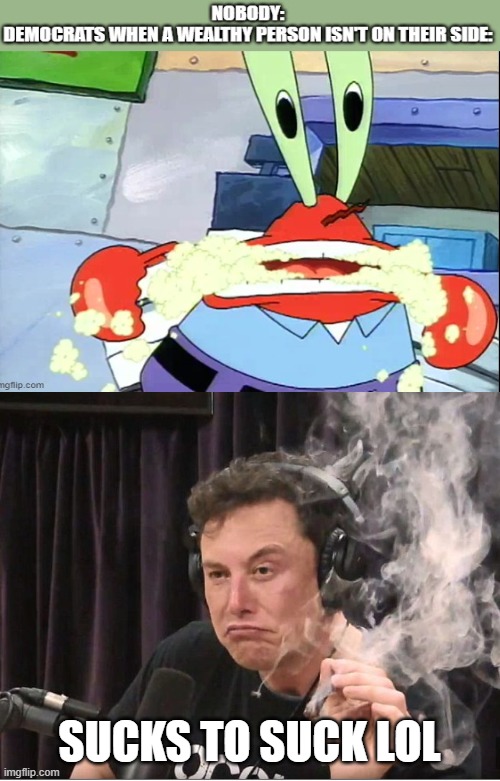 "We have every other wealthy person to ever exist, but you can't have one!" | SUCKS TO SUCK LOL | image tagged in elon musk smoking a joint,elon musk,politics,memes | made w/ Imgflip meme maker