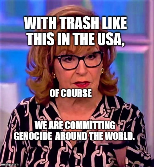 the view's joy behar is despicable | WITH TRASH LIKE THIS IN THE USA, OF COURSE                                                 WE ARE COMMITTING GENOCIDE  AROUND THE WORLD. | image tagged in the view's joy behar is despicable | made w/ Imgflip meme maker