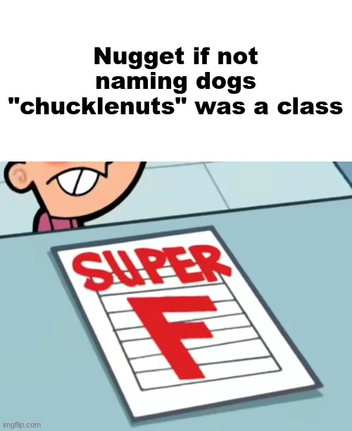 Me if X was a class (Super F) | Nugget if not naming dogs "chucklenuts" was a class | image tagged in me if x was a class super f | made w/ Imgflip meme maker