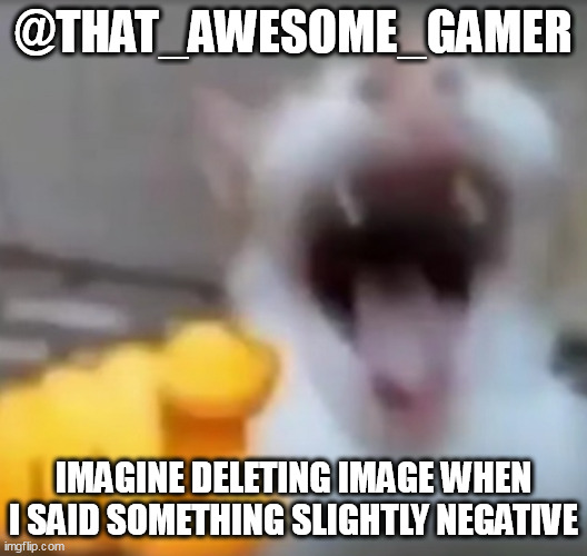 Cat pointing and laughing | @THAT_AWESOME_GAMER; IMAGINE DELETING IMAGE WHEN I SAID SOMETHING SLIGHTLY NEGATIVE | image tagged in cat pointing and laughing | made w/ Imgflip meme maker