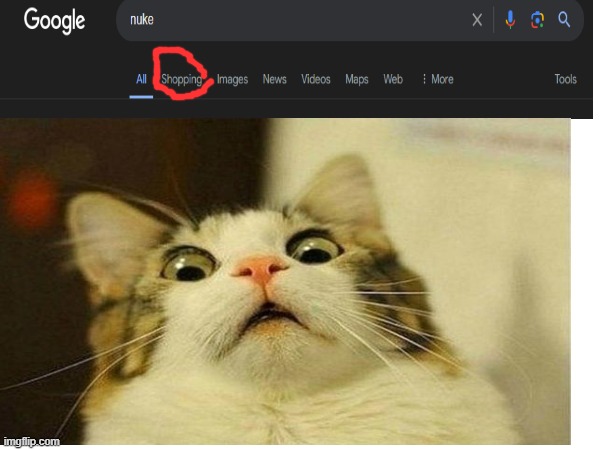 uh oh | image tagged in nuke,scared cat | made w/ Imgflip meme maker