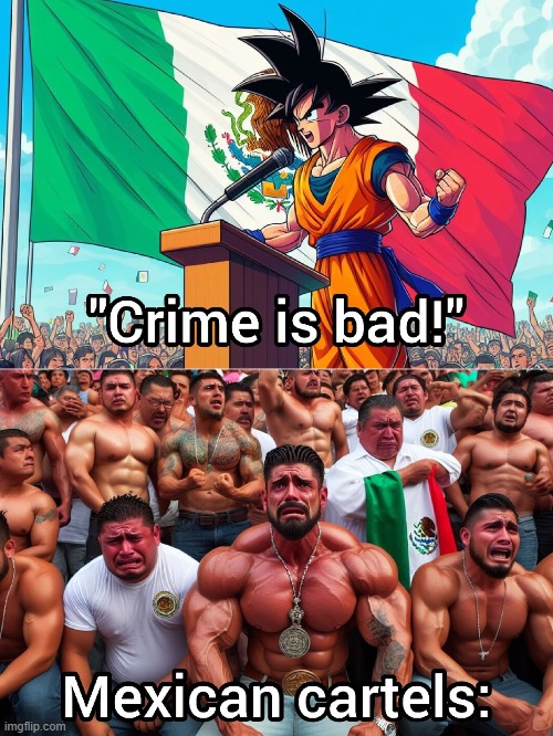 image tagged in anime,cartel | made w/ Imgflip meme maker