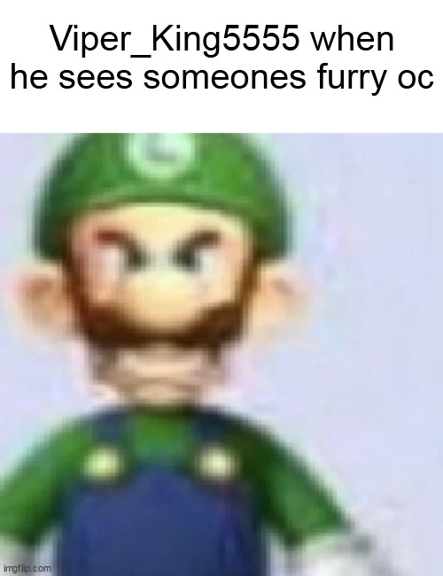 angry luigi | Viper_King5555 when he sees someones furry oc | image tagged in angry luigi | made w/ Imgflip meme maker