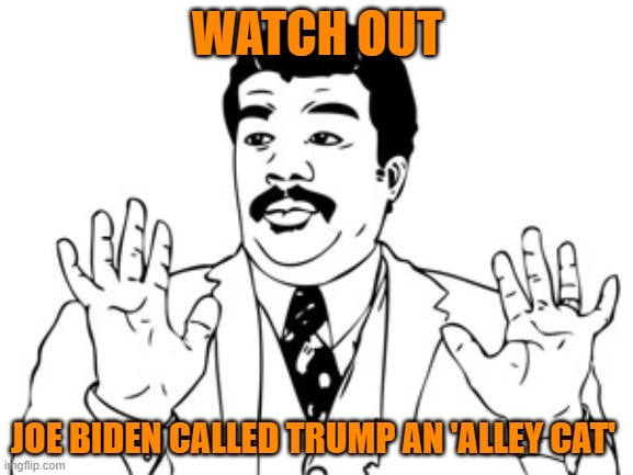Alley Cat | WATCH OUT; JOE BIDEN CALLED TRUMP AN 'ALLEY CAT' | image tagged in memes,neil degrasse tyson | made w/ Imgflip meme maker