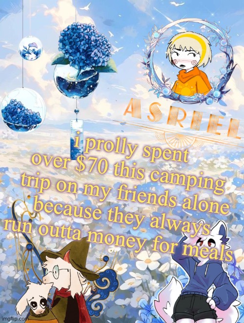 guh good thing i got paid and was at $342 | i prolly spent over $70 this camping trip on my friends alone because they always run outta money for meals | image tagged in asriel's sky and flowers themed template | made w/ Imgflip meme maker