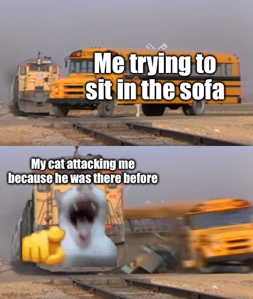 ? | Me trying to sit in the sofa; My cat attacking me because he was there before | image tagged in a train hitting a school bus | made w/ Imgflip meme maker