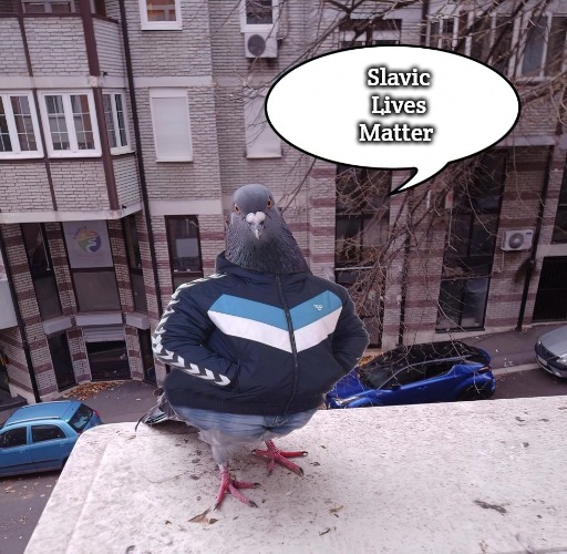 pigeon slavic pigeon | Slavic Lives Matter | image tagged in pigeon slavic pigeon,slavic | made w/ Imgflip meme maker