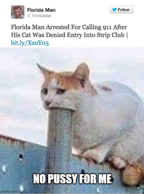 No Entry | NO PUSSY FOR ME | image tagged in cat suck | made w/ Imgflip meme maker