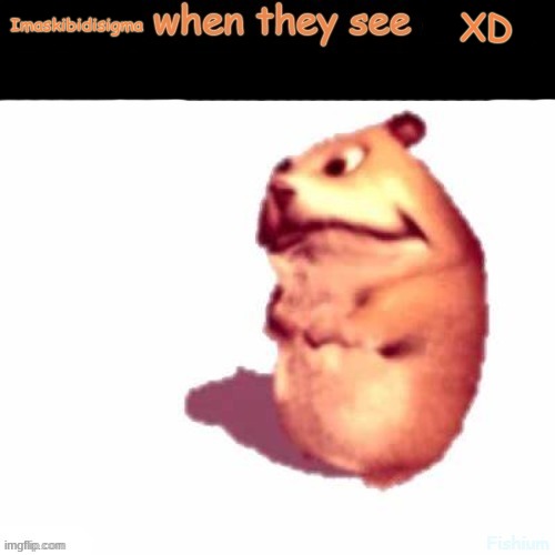 X when they see x | Imaskibidisigma; XD | image tagged in x when they see x | made w/ Imgflip meme maker
