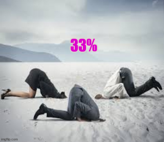 CNN "viewers" who said Biden won the debate. | 33% | image tagged in ostrich head in sand,biden cult | made w/ Imgflip meme maker