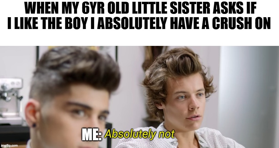 she thinks i'm in love with him and she says she will tell his cousin that goes to church with us -_- | WHEN MY 6YR OLD LITTLE SISTER ASKS IF I LIKE THE BOY I ABSOLUTELY HAVE A CRUSH ON; ME: | image tagged in harry styles absolutely not | made w/ Imgflip meme maker