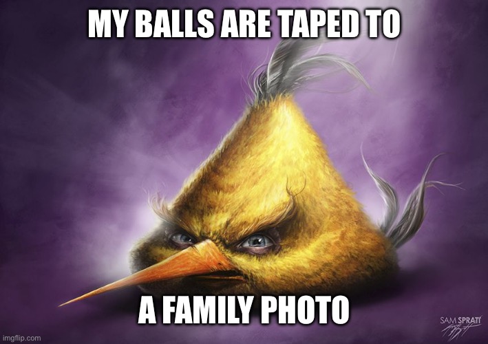 Realistic yellow angry bird | MY BALLS ARE TAPED TO; A FAMILY PHOTO | image tagged in realistic yellow angry bird | made w/ Imgflip meme maker