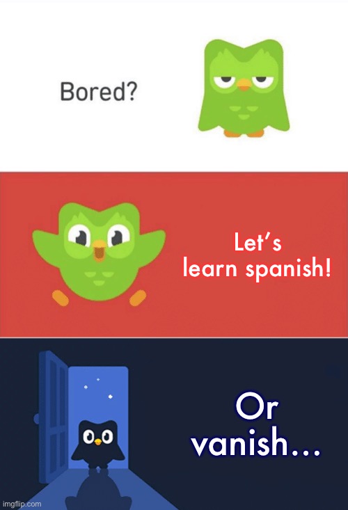 Duolingo Bored 3-Panel | Let’s learn spanish! Or vanish… | image tagged in duolingo bored 3-panel | made w/ Imgflip meme maker
