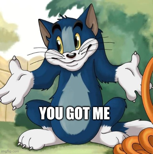 Tom and Jerry - Tom Who Knows HD | YOU GOT ME | image tagged in tom and jerry - tom who knows hd | made w/ Imgflip meme maker