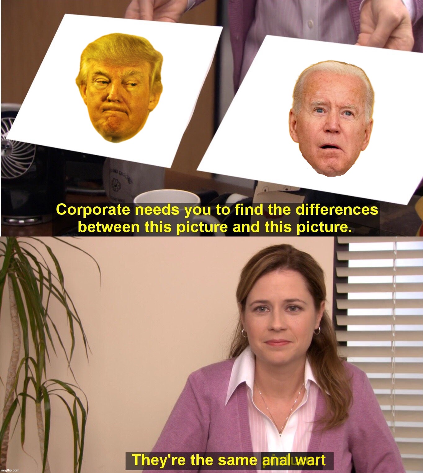 Election 2024 doesn't even pretend to hide that it's solely about the egos of two cartons of expired bilk | anal wart | image tagged in memes,they're the same picture,donald trump,joe biden,trump,biden | made w/ Imgflip meme maker