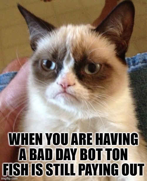 Grumpy Cat Meme | WHEN YOU ARE HAVING A BAD DAY BOT TON FISH IS STILL PAYING OUT | image tagged in memes,grumpy cat | made w/ Imgflip meme maker