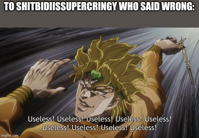 USELESS | TO SHITBIDIISSUPERCRINGY WHO SAID WRONG: | image tagged in useless | made w/ Imgflip meme maker