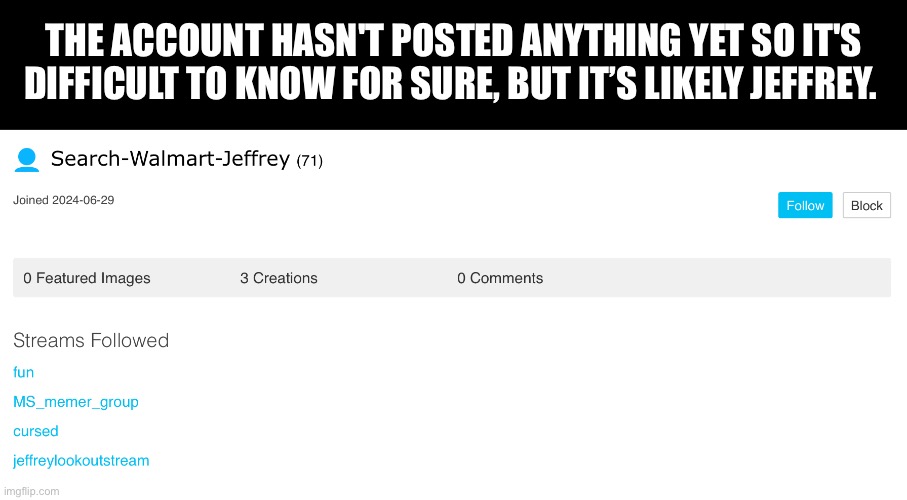 Newest Jeffrey | THE ACCOUNT HASN'T POSTED ANYTHING YET SO IT'S DIFFICULT TO KNOW FOR SURE, BUT IT’S LIKELY JEFFREY. | image tagged in jeffrey | made w/ Imgflip meme maker