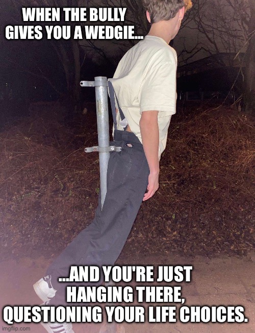 Bro is cooked | WHEN THE BULLY GIVES YOU A WEDGIE... ...AND YOU'RE JUST HANGING THERE, QUESTIONING YOUR LIFE CHOICES. | image tagged in memes,viral,wedgie,fun,drake,turkey | made w/ Imgflip meme maker
