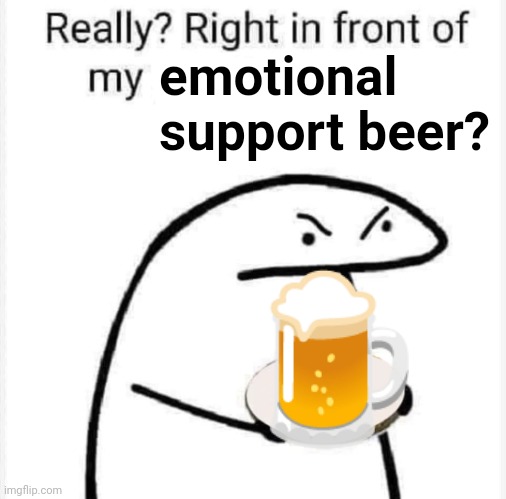 Really? Right in front of my? | emotional support beer? 🍺 | image tagged in really right in front of my | made w/ Imgflip meme maker