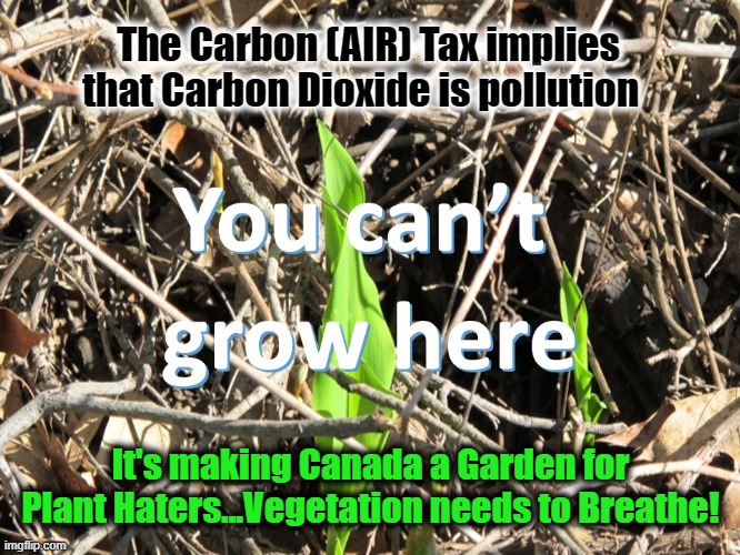 The Carbon (AIR) Tax implies that Carbon Dioxide is pollution; It's making Canada a Garden for Plant Haters...Vegetation needs to Breathe! | made w/ Imgflip meme maker