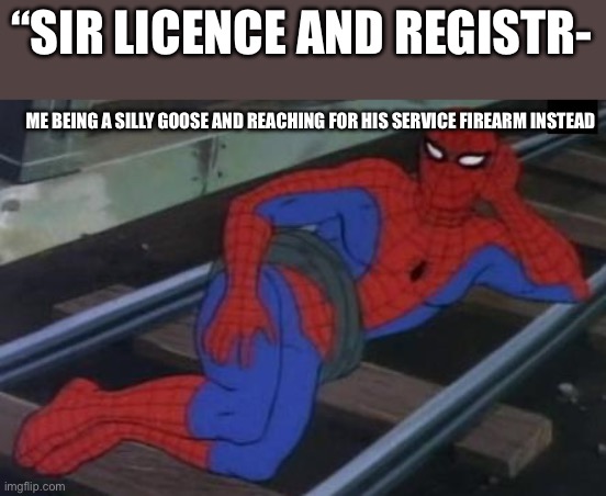 Yall should do it. | “SIR LICENCE AND REGISTR-; ME BEING A SILLY GOOSE AND REACHING FOR HIS SERVICE FIREARM INSTEAD | image tagged in memes,sexy railroad spiderman,spiderman,fun,relatable | made w/ Imgflip meme maker