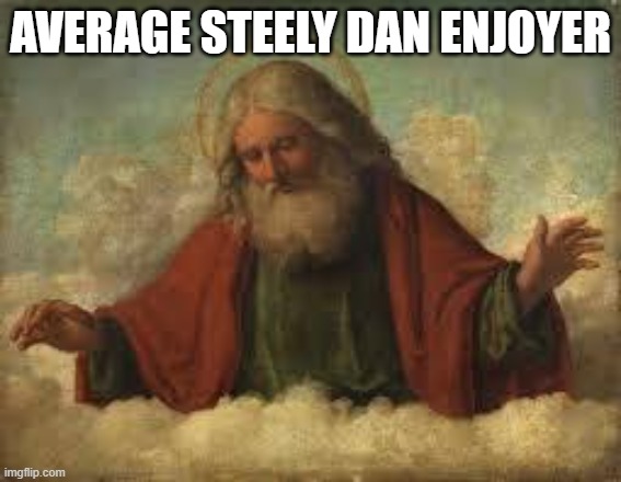 god | AVERAGE STEELY DAN ENJOYER | image tagged in god | made w/ Imgflip meme maker