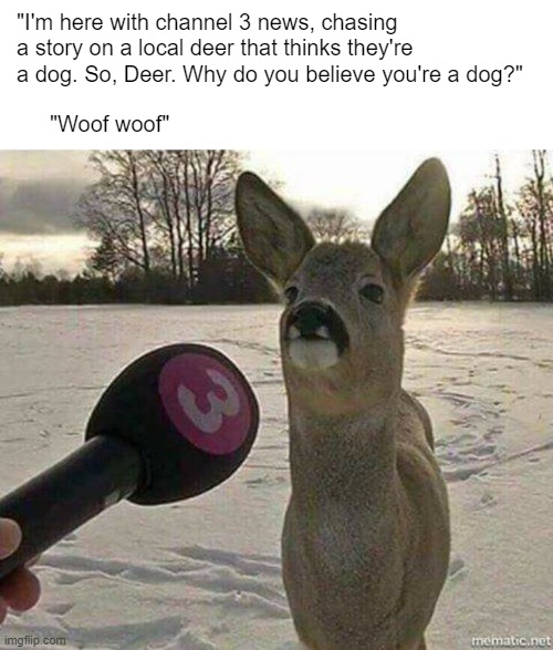 Oh deer, we have a cute case of confusion. | "I'm here with channel 3 news, chasing a story on a local deer that thinks they're a dog. So, Deer. Why do you believe you're a dog?"; "Woof woof" | image tagged in deer interviewed,memes,deer | made w/ Imgflip meme maker