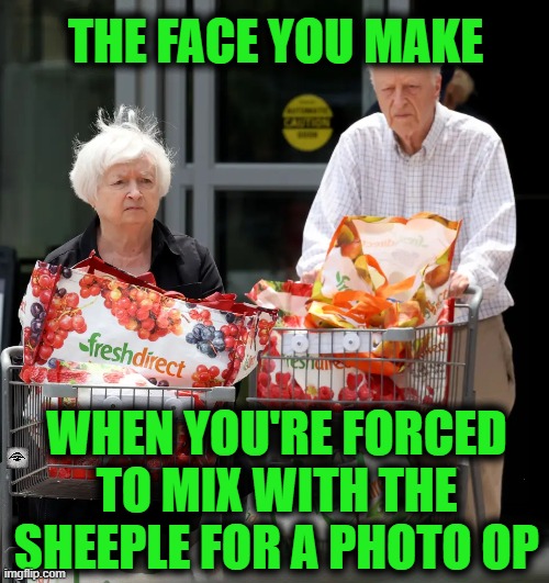 THE FACE YOU MAKE; WHEN YOU'RE FORCED TO MIX WITH THE SHEEPLE FOR A PHOTO OP | image tagged in yelen,inflation,groceries,political stunt,photo op | made w/ Imgflip meme maker