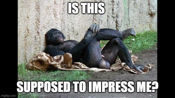 Big balls gorilla | IS THIS SUPPOSED TO IMPRESS ME? | image tagged in big balls gorilla | made w/ Imgflip meme maker