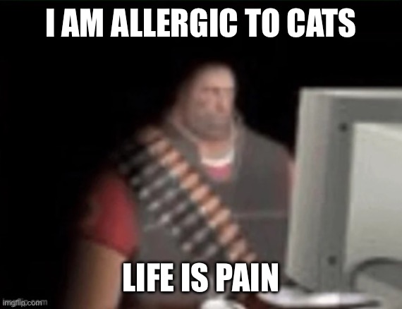 sad heavy computer | I AM ALLERGIC TO CATS LIFE IS PAIN | image tagged in sad heavy computer | made w/ Imgflip meme maker