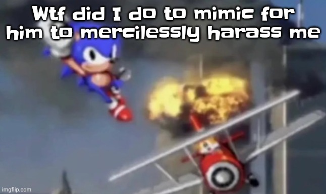 Like bro tf | Wtf did I do to mimic for him to mercilessly harass me | image tagged in al segaeda | made w/ Imgflip meme maker