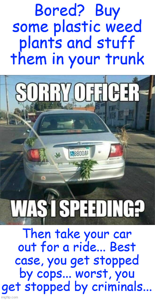 How to get rid of boredom | Bored?  Buy some plastic weed plants and stuff them in your trunk; Then take your car out for a ride... Best case, you get stopped by cops... worst, you get stopped by criminals... | image tagged in dark humour,how to get rid of boredom | made w/ Imgflip meme maker
