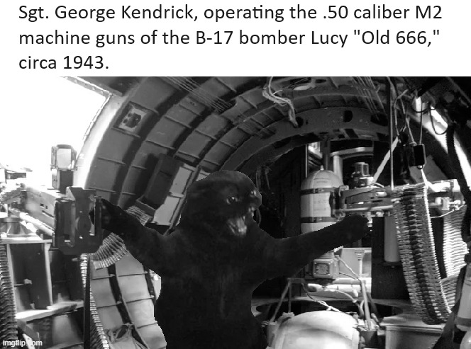 Sgt. Kendrick wasn't actually a cat. - Imgflip