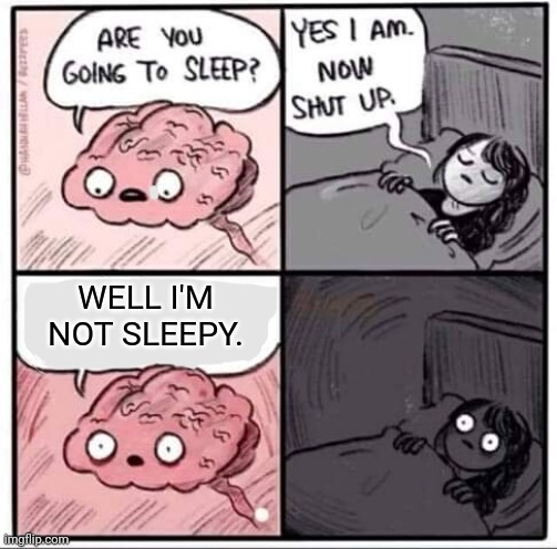 Every time I try to sleep. | WELL I'M NOT SLEEPY. | image tagged in are you going to sleep,relatable | made w/ Imgflip meme maker