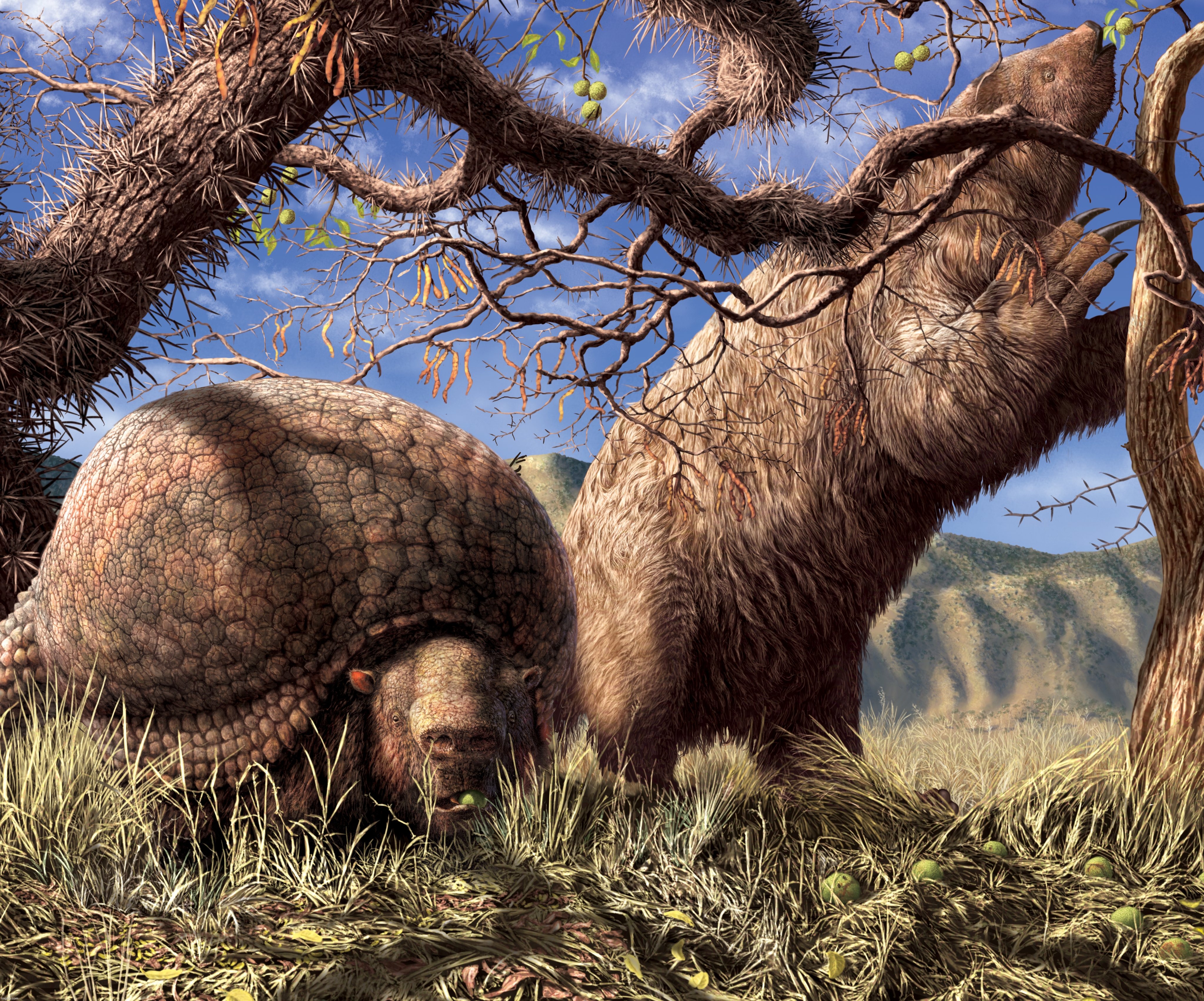 Glyptotherium, giant herbivorous armadillo, and a giant ground sloth feeding on honey locust and Osage orange | image tagged in glyptotherium,giant ground sloth,pleistocene | made w/ Imgflip meme maker