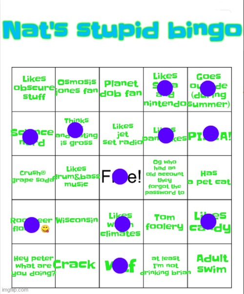 Nat's stupid bingo | image tagged in nat's stupid bingo | made w/ Imgflip meme maker