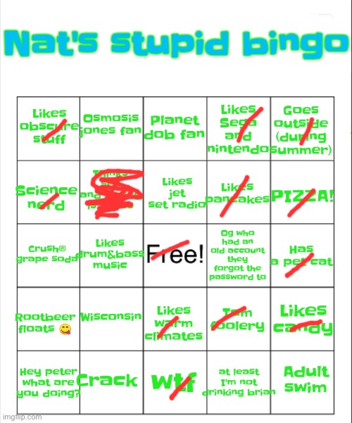 Nat's stupid bingo | image tagged in nat's stupid bingo | made w/ Imgflip meme maker