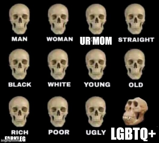 Sry but it's true | UR MOM; LGBTQ+; FARKLEG | image tagged in idiot skull | made w/ Imgflip meme maker