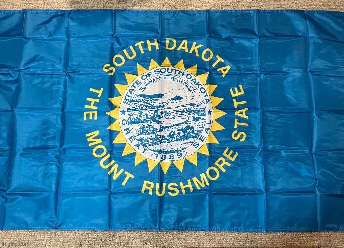 My South Dakota flag | image tagged in flag,usa | made w/ Imgflip meme maker