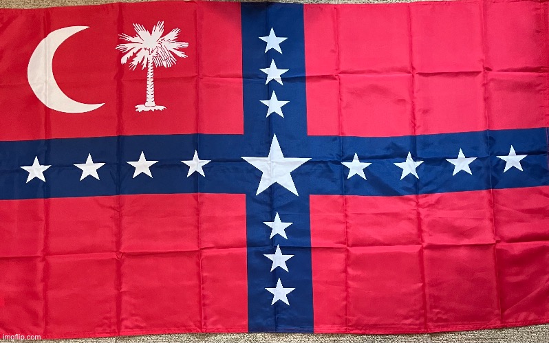 My South Carolina secessionist flag | image tagged in flag,usa | made w/ Imgflip meme maker