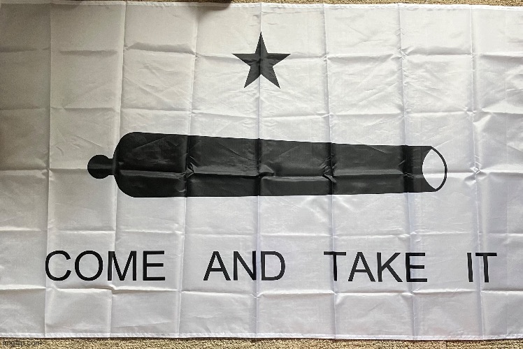 My Texas Battle of Gonzales flag | image tagged in flag,usa | made w/ Imgflip meme maker