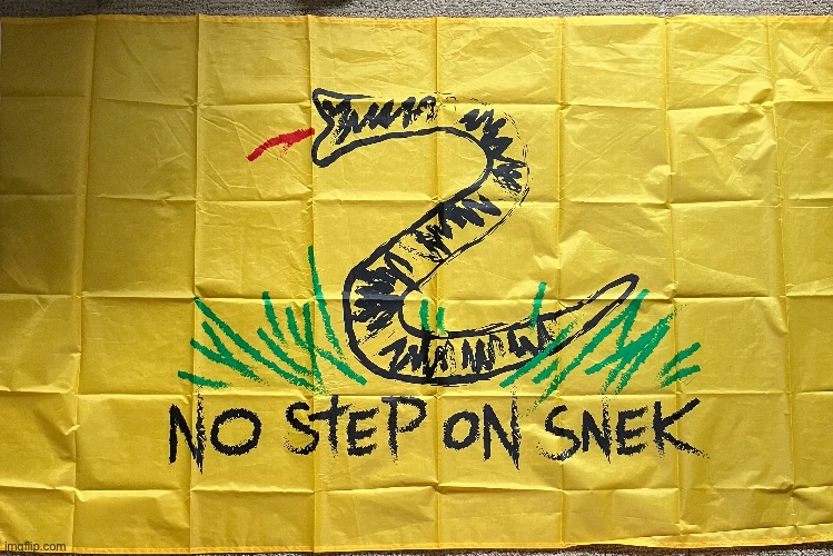My “No step on snek” flag | image tagged in flag,usa | made w/ Imgflip meme maker