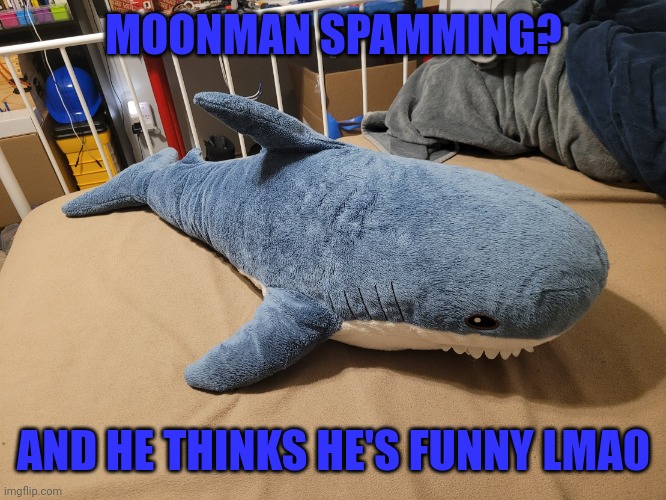 Oh you're just a pu​ssy admit it | MOONMAN SPAMMING? AND HE THINKS HE'S FUNNY LMAO | image tagged in my blahaj | made w/ Imgflip meme maker