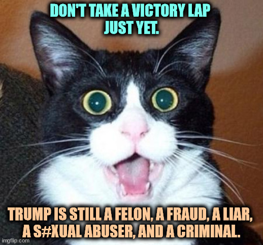 One of them had no business being on that stage. Trump. | DON'T TAKE A VICTORY LAP 
JUST YET. TRUMP IS STILL A FELON, A FRAUD, A LIAR, 
A S#XUAL ABUSER, AND A CRIMINAL. | image tagged in surprised cat lol,trump,felon,fraud,liar,criminal | made w/ Imgflip meme maker