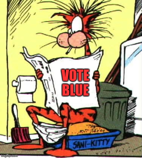 Crazy Cat | VOTE
BLUE | image tagged in crazy cat | made w/ Imgflip meme maker