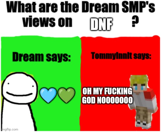 Probably real ??? | DNF; 🩵💚; OH MY FUCKING GOD NOOOOOOO | image tagged in views of the dsmp | made w/ Imgflip meme maker