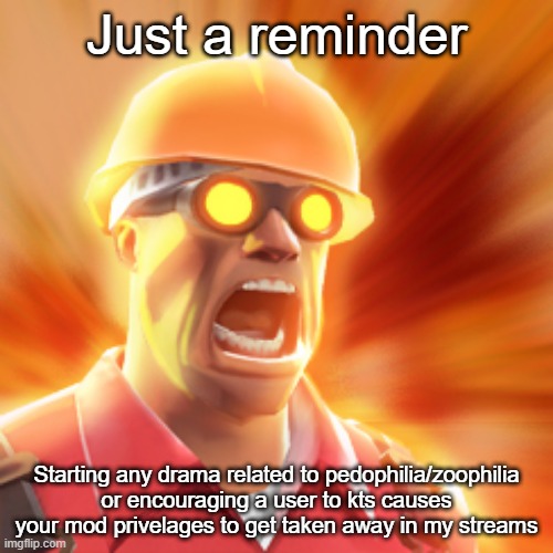 Just took away ShadowSkul's mod in New MSMG | Just a reminder; Starting any drama related to pedophilia/zoophilia or encouraging a user to kts causes your mod privelages to get taken away in my streams | image tagged in tf2 engineer | made w/ Imgflip meme maker